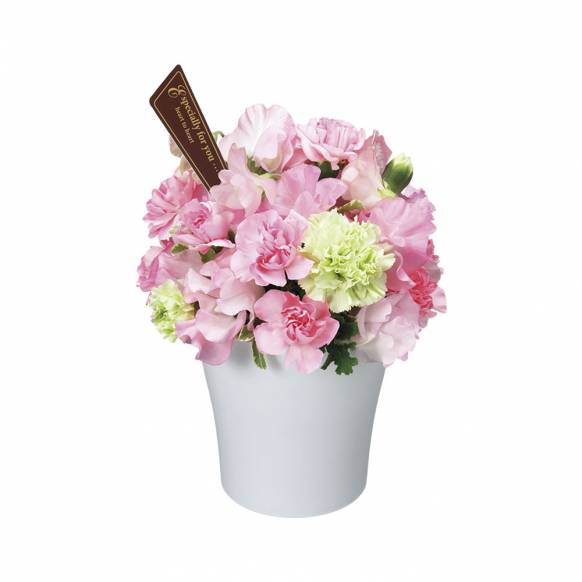 愛知県春日井市の花屋 フラワーズギフト花久にフラワーギフトはお任せください 当店は 安心と信頼の花キューピット加盟店です 花キューピットタウン